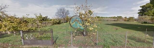 (For Sale) Land Plot || East Attica/Anthousa - 447 Sq.m, 135.000€ 