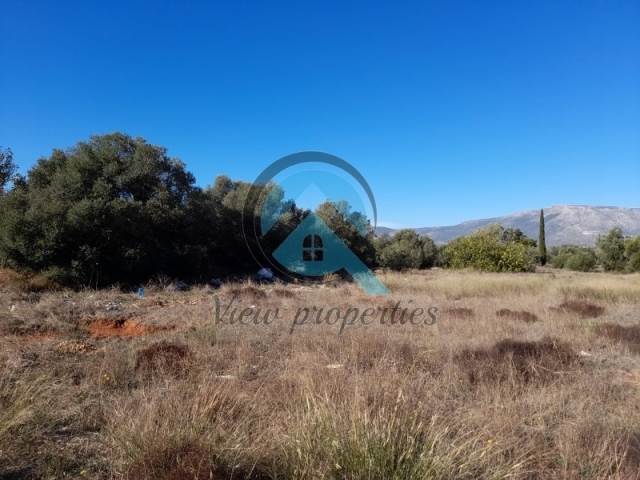 (For Sale) Land Plot || East Attica/Koropi - 2.650 Sq.m, 110.000€ 