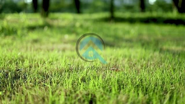 (For Sale) Land Plot || Athens South/Agios Dimitrios - 220 Sq.m, 220.000€ 