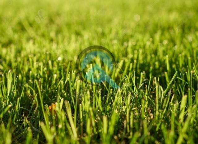 (For Sale) Land Plot || Athens Center/Dafni - 169 Sq.m, 240.000€ 
