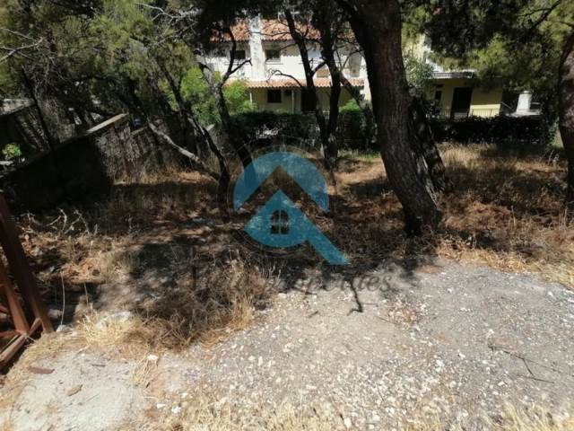 (Προς Πώληση) Αξιοποιήσιμη Γη Οικόπεδο || Αθήνα Βόρεια/Πεντέλη - 390 τ.μ, 250.000€ 