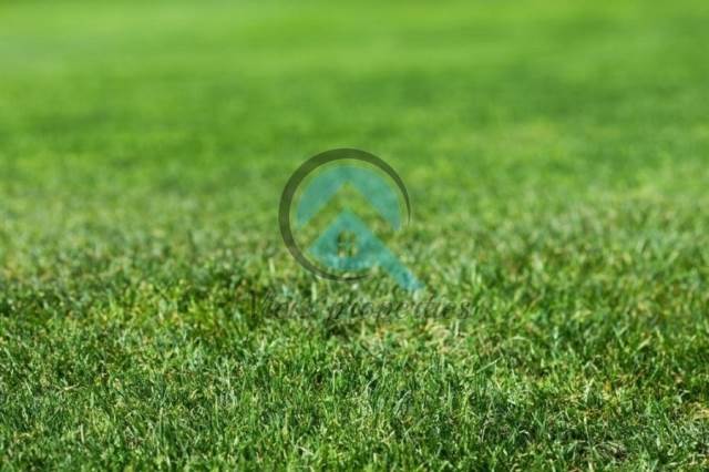 (Προς Πώληση) Αξιοποιήσιμη Γη Οικόπεδο || Αθήνα Νότια/Άλιμος - 250 τ.μ, 520.000€ 