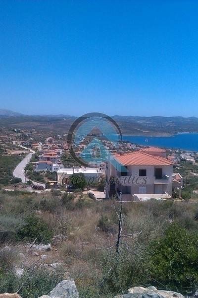 (Προς Πώληση) Αξιοποιήσιμη Γη Οικόπεδο || Ν. Εύβοιας/Ταμύνες - 780 τ.μ, 32.000€ 