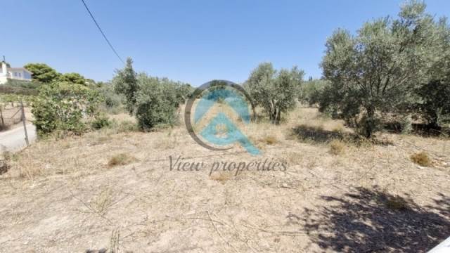 (For Sale) Land Plot || East Attica/Rafina - 2.000 Sq.m, 350.000€ 