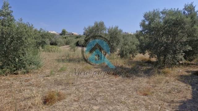 (Προς Πώληση) Αξιοποιήσιμη Γη Οικόπεδο || Ανατολική Αττική/Ραφήνα - 997 τ.μ, 125.000€ 