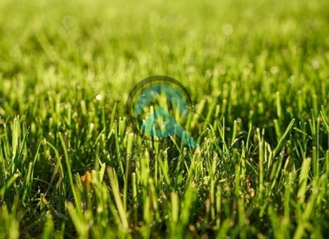 (Προς Πώληση) Αξιοποιήσιμη Γη Οικόπεδο || Αθήνα Νότια/Άγιος Δημήτριος - 230 τ.μ, 255.000€ 